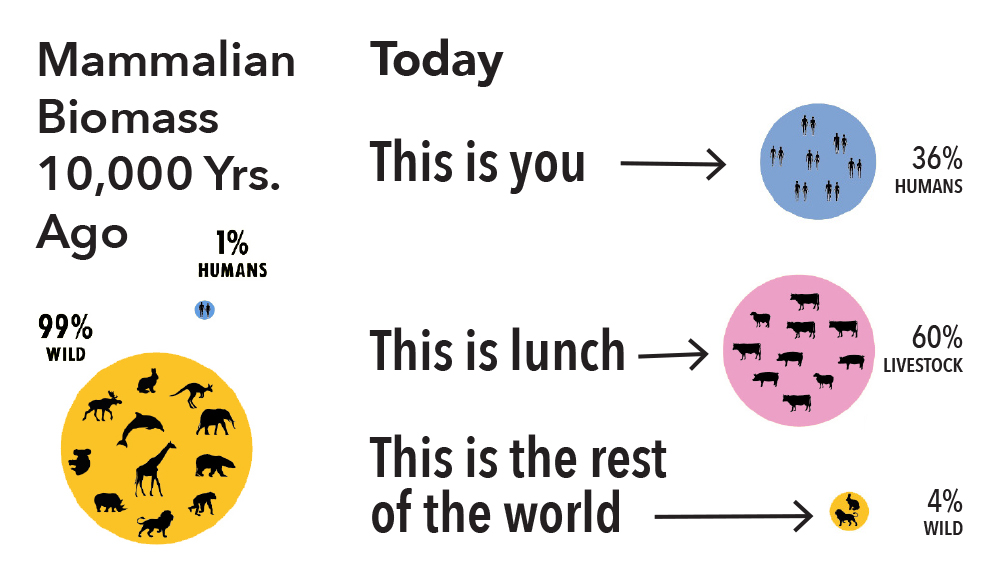 thisislunch